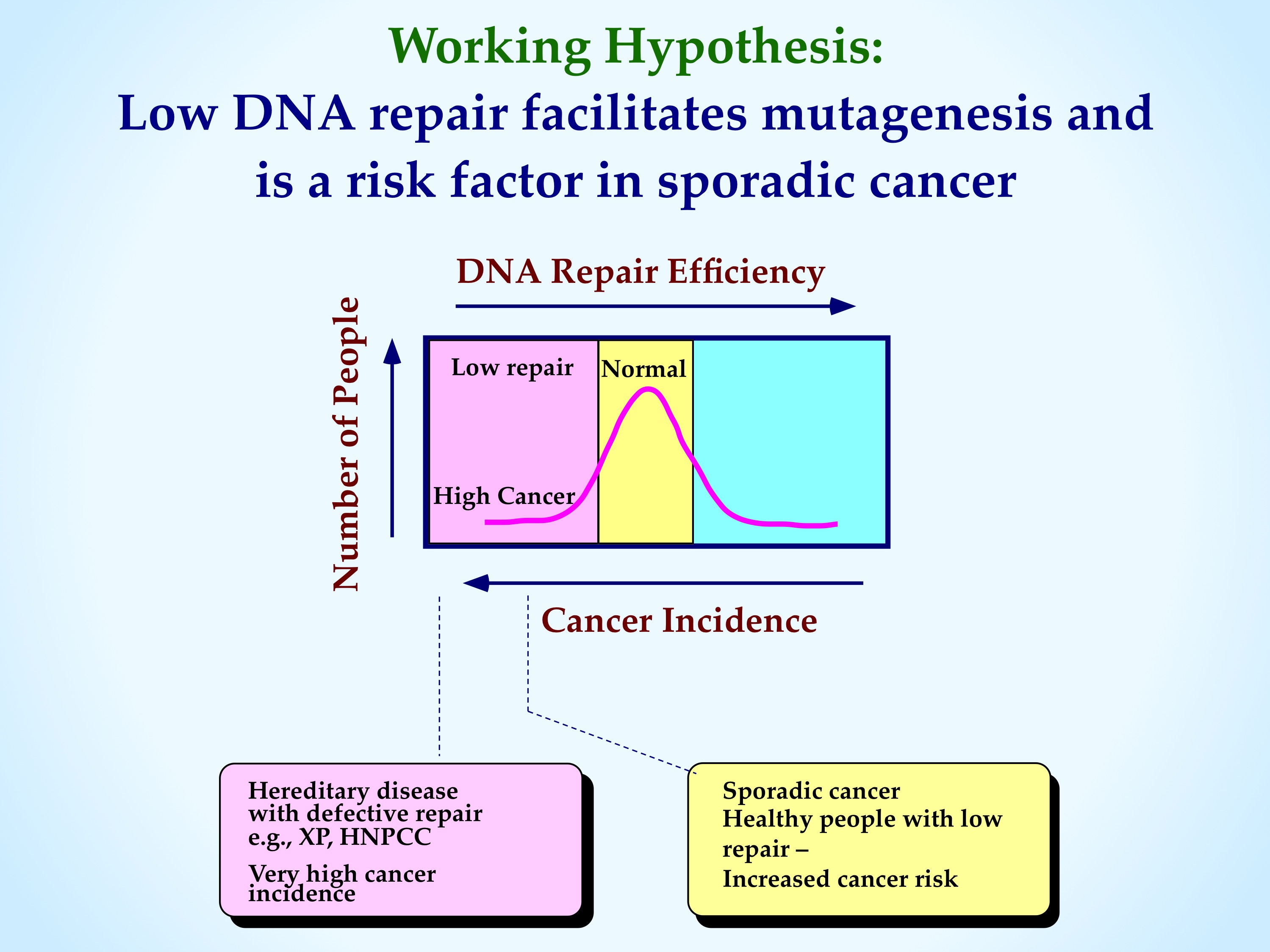 dna cancer