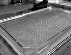 An agar plate printed at 1536 density 