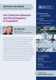 Ant Collective Behavior and the Emergence of Cognition