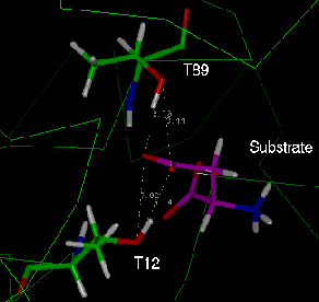 active site 1