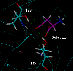 active site 2