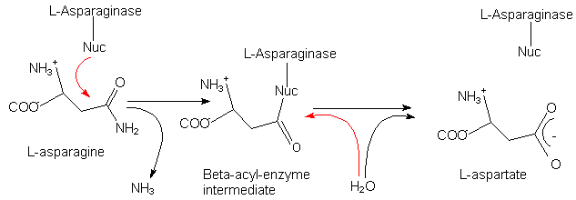 Proposed reaction scheme