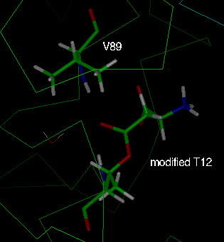 t89v active site 1