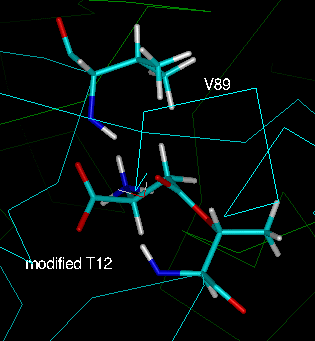 t89v active site 2