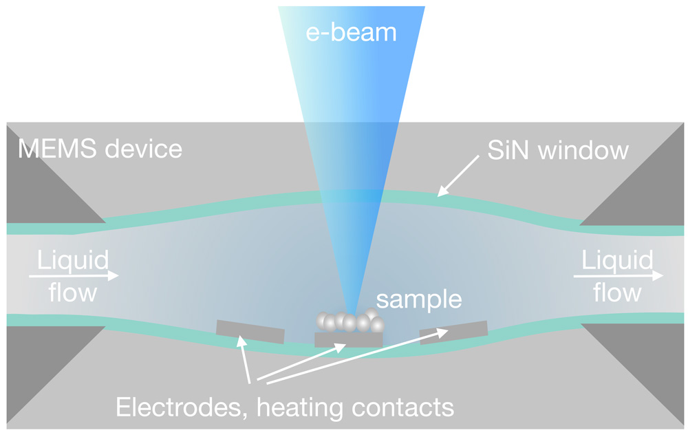 In-situ microscopy