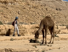 Wadi Heimar 2019