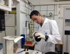 In the laboratory picture no. 8