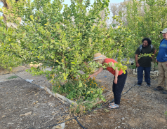 2021 - Retreat in Neot Smadar, and visiting the Great Dune (4 days) picture no. 73