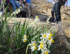 2014 - Lab Trip to Wadi Hatzatz and Wadi Daroch picture no. 13