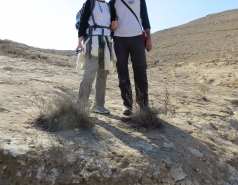 2014 - Lab Trip to Wadi Hatzatz and Wadi Daroch picture no. 18