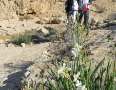 2014 - Lab Trip to Wadi Hatzatz and Wadi Daroch picture no. 22