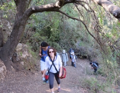 2014 - Lab Trip to Nahal Amud and Rappelling in the Black Canyon (2 days) picture no. 9