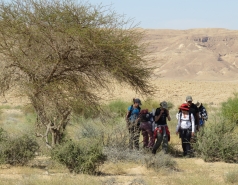 2015 - Lab Trip to Eastern Ramon Crater (2 days) picture no. 183