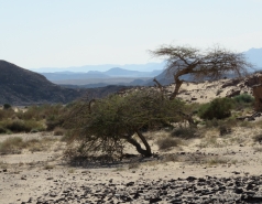 2015 - Lab Trip to Eastern Ramon Crater (2 days) picture no. 194