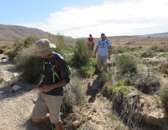 2016 - Lab Trip to Western Ramon Crater picture no. 34