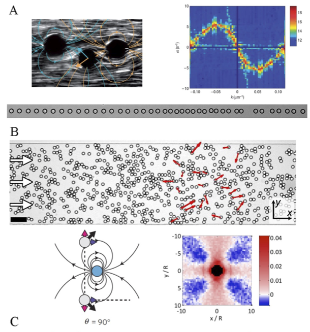 Nonequilibrium Many-body Phenomena In 2D Droplet Ensembles | Bar-Ziv Lab