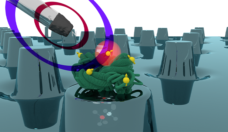 A sketch, beautifully blended by Philipp Scheiger, showing a nanopillar array in diamond hosting NV centers. On the top of one of the nanopillars there is a molecule, and an AFM tip with a permanent magnet is in its close proximity