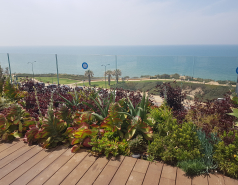 Departmental Retreat to Netanya 04/2019 picture no. 11