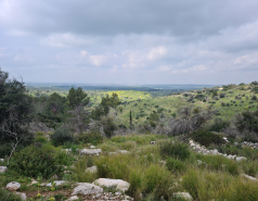 Group Trip to "The Ella Valley" picture no. 6