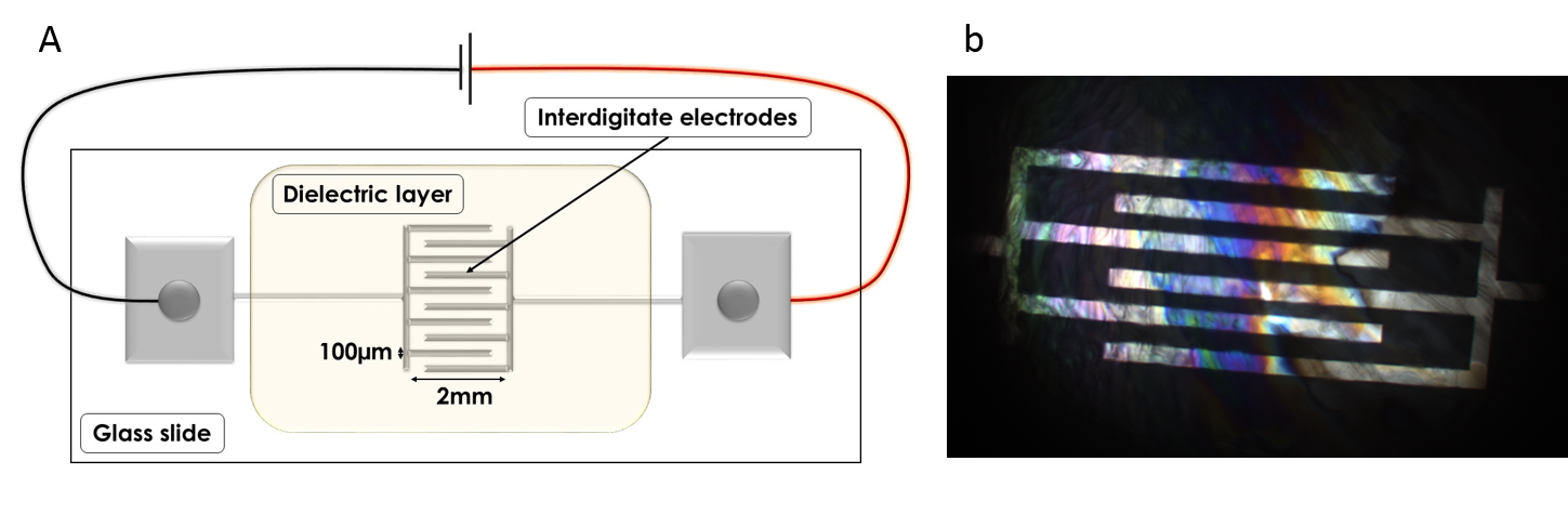 Electrodes for electro-freezing