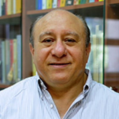 Prof. Edriss S. Titi