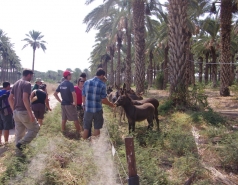 BioBee and Kibbutzim River - October 13 picture no. 3