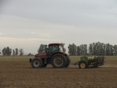 Wheat Sowing 2013 picture no. 12