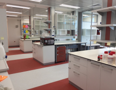 Grand opening of the Segev Lab, December 2018 picture no. 17